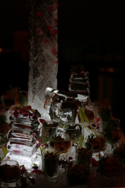 Daniella Rahmeh's Birthday Party 